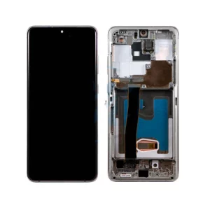 Galaxy S21 FE Screen 