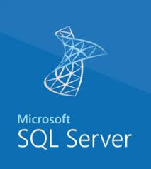 Microsoft SQLCAL 2019 SNGL OLP NL UsrCAL