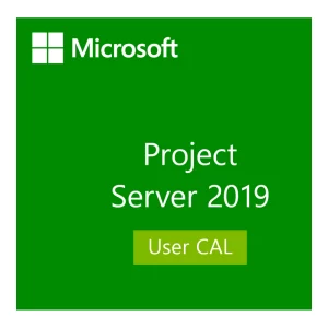 Microsoft Project Server CAL 2019 SNGL OLP NL UsrCAL